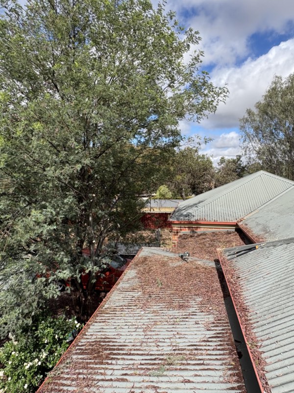 Gutters being hand-cleared of debris